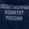 В Чите чиновнице и подрядчику предъявили обвинение по делу о нападении собак на ребёнка