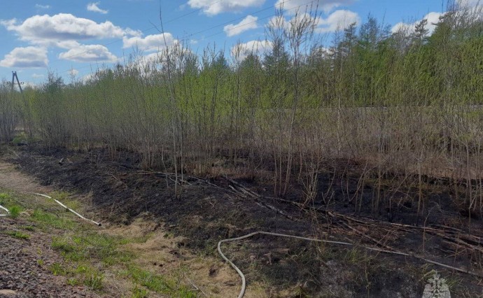 В Ногликском районе огонь охватил 600 "квадратов" сухой травы
