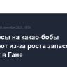 Фьючерсы на какао-бобы дешевеют из-за роста запасов на складах в Гане