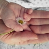 На Сахалине будущие родители смогут подать заявку в чек-лист ожидания на получение услуг по уходу за детьми