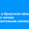1 июня в Иркутской области стартует летняя оздоровительная кампания