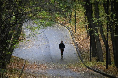 Синоптики спрогнозировали погоду в Москве в первой декаде ноября