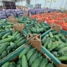 В Ярославской области огурцы в январе подорожали на 35%
