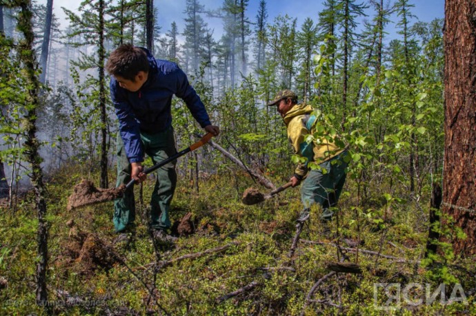 В Якутии кратно сократилась площадь лесных пожаров