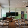 Старооскольские власти прокомментировали жалобы на крыс и тараканов в школе