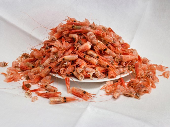 Приморье и Сахалин вводят ограничения на вылов креветки