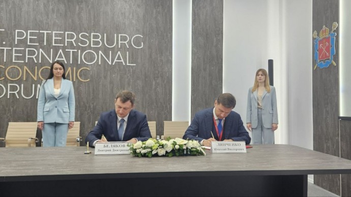 ПМЭФ-2025: Во Фрунзенском и Невском районах Петербурга будет построен новый путепровод