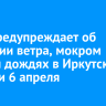 МЧС предупреждает об усилении ветра, мокром снеге и дождях в Иркутской области 6 апреля