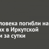 Три человека погибли на пожарах в Иркутской области за сутки