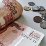 В Госдуме предложили приравнять домохозяйство к оплачиваемой работе