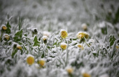Синоптики предупредили о похолодании в столичном регионе