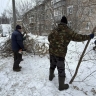 В Кирове продолжают убирать аварийные деревья и дикую поросль