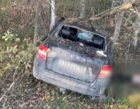 В Башкирии в ДТП лось погубил себя и водителя