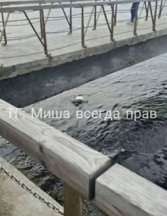 Волны прибили к берегу тело мужчины во Владивостоке: ведётся расследование Волны прибили к берегу тело мужчины во Владивостоке: ведётся расследование