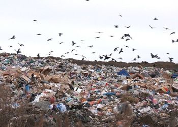 Огромная свалка «выросла» в Белогорском округе