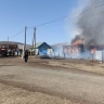 В крупном пожаре в Учалинском районе погибли 18 животных