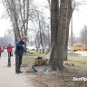 В Белгороде на весеннюю уборку улиц вышли 125 человек