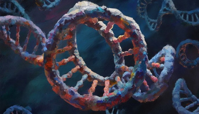 Как клетки передают друг другу кольцевую ДНК