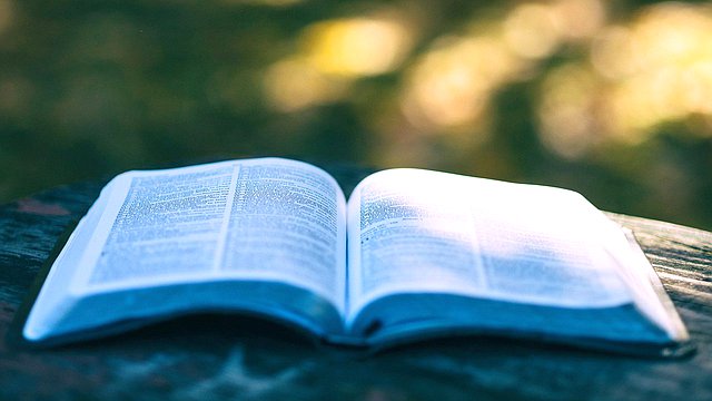 Принят законопроект о возможности открывать в учреждениях культуры книжные магазины