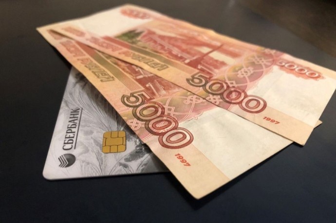 Дело о невыплатах: Бастрыкин требует отчёт по жалобам приморских работников Дело о невыплатах: Бастрыкин требует отчёт по жалобам приморских работников