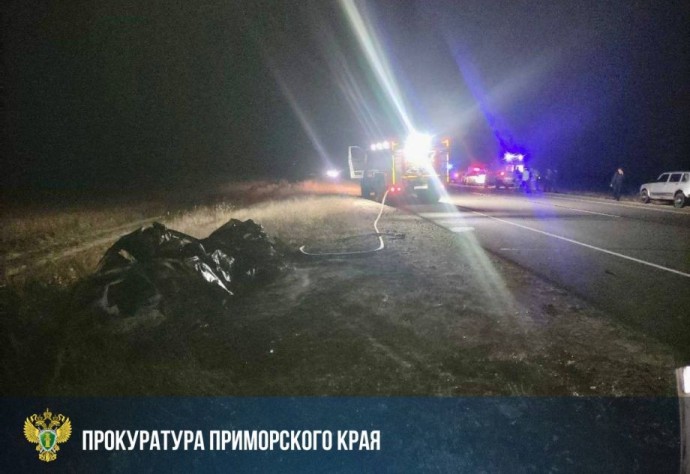 Виновному в трех смертях водителю вынесли приговор в Приморье