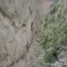 Десантники ВДВ зачистили лесополосу у Тёткино: противник понёс тяжёлые потери