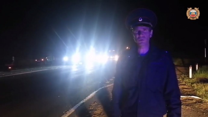 Наехал на животное и выехал на встречку: в Ярославской области в ДТП погибли два человека