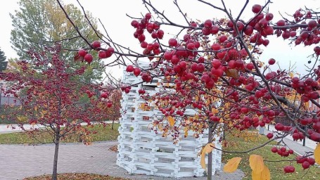 Штормовое предупреждение в Тульской области: усиление ветра до 16 м/с