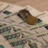 Соцфонд напомнил о доплате в 2,6 тысячи рублей для томских пенсионеров-аграриев