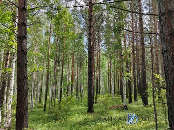 На Байкале искали двух потерявшихся подростков