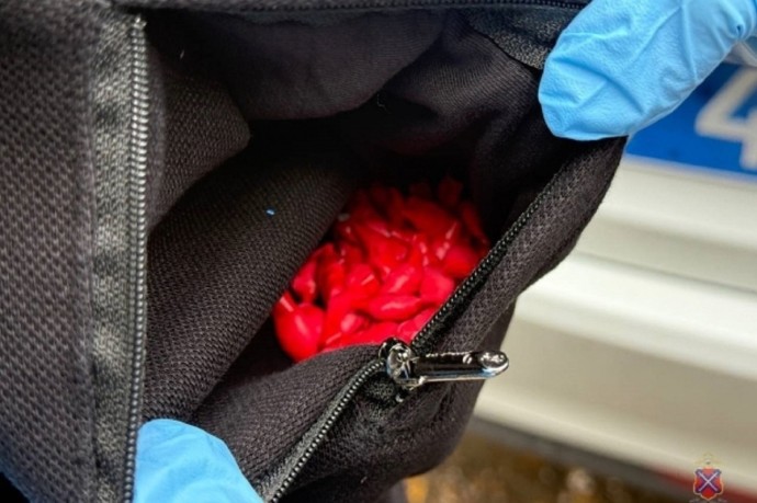 В Волгоградской области мужчина пытался сбыть крупную партию наркотика