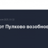 Аэропорт Пулково возобновил работу