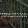 В Губкине сотрудники МЧС спасли косулю с помощью бензопилы
