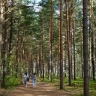 Минэк: внутренний турпоток за полгода вырос почти на 7%