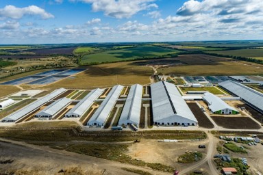 В Воронежской области завершается строительство одного из крупнейших в РФ молочных комплексов