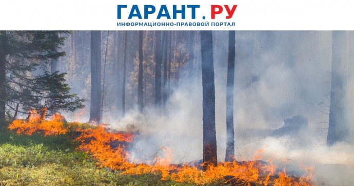 Правительство РФ актуализировало требования по охране лесов от пожаров