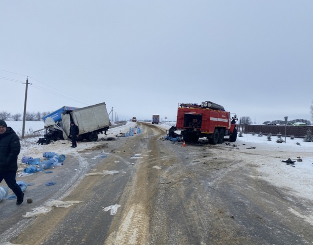 Один человек погиб и один пострадал в столкновении двух автофургонов и пожарной машины в пригороде Саранска