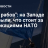 "Раса рабов": на Западе раскрыли, что стоит за провокациями НАТО