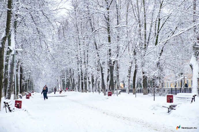 До конца недели в Кирове будут туман, гололедица и мокрый снег До конца недели в Кирове будут туман, гололедица и мокрый снег