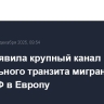 ФСБ выявила крупный канал нелегального транзита мигрантов через РФ в Европу