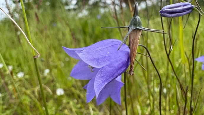 В Башкирии ожидаются дожди и грозы