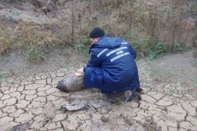 На полигоне Воронежской области уничтожили мину времен ВОВ