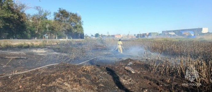 Колоссальное число пожаров охватило Астраханскую область 