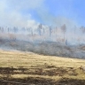 В Бурятии 28 апреля тушат один лесной пожар