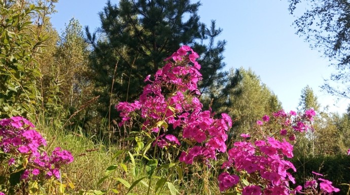 В Башкирии погода будет аномальной