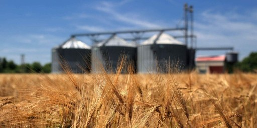 Башкирия увеличила продажи зерна на внутреннем рынке