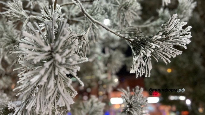 Жителей Башкирии предупредили об аномальных морозах Жителей Башкирии предупредили об аномальных морозах