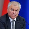 Вячеслав Володин рассказал, как работает режим высылки для мигрантов, введенный федеральным законом