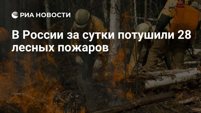В России за сутки потушили  28 лесных пожаров