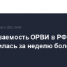 Заболеваемость ОРВИ в РФ увеличилась за неделю более чем на 10%